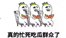 吃瓜群众素质低,吃瓜群众素质低下的背后真相