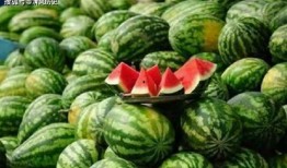 吃瓜只吃中间,只吃瓜中间的奥秘