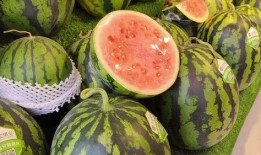 天天吃瓜会怎样,揭秘娱乐圈背后的秘密