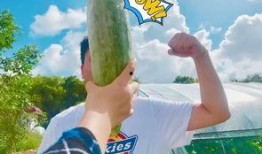 跟朋友见面吃瓜,揭秘吃瓜背后的故事