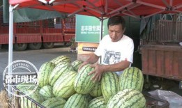 天天吃瓜会怎样,揭秘娱乐圈背后的秘密