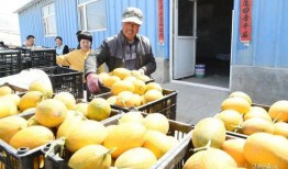 小欣吃瓜,揭秘娱乐圈那些不为人知的幕后故事