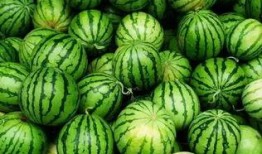 吃瓜群在哪家,吃瓜群背后的神秘平台