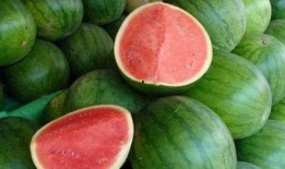 有瓜吃怎么回,共享美好时光的秘诀