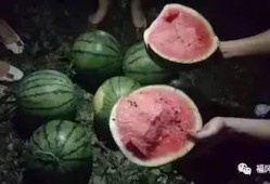 吃瓜大地,揭秘娱乐圈背后的秘密与真相