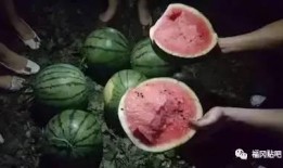 吃瓜大地,揭秘娱乐圈背后的秘密与真相