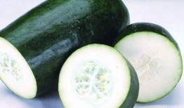 解暑瓜怎么吃,解暑瓜的多样食法探索