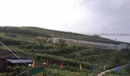 峰峰公园吃瓜事件,一场引发热议的公共道德风波