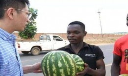 没吃瓜前好奇吃瓜后悔,揭秘网络八卦的利与弊