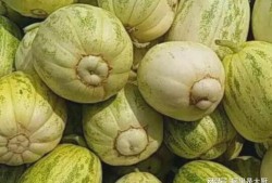 瓜坏了可以吃吗,瓜坏后还能食用吗？揭秘瓜果变质真相