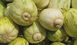 瓜坏了可以吃吗,瓜坏后还能食用吗？揭秘瓜果变质真相