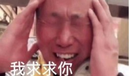 律师吃瓜呕吐,一场意外的法庭风波