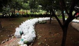 胶南吃瓜,一场别开生面的吃瓜盛宴