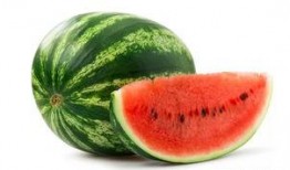 郑州树青吃瓜,揭秘吃瓜背后的文化现象