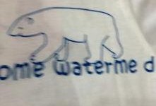 吃瓜小熊棉,揭秘瓜界萌宠的甜蜜生活