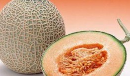 药流后可否吃哈密瓜,哈密瓜的适宜与否