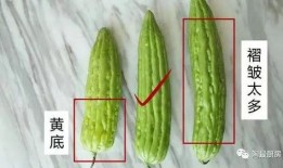 花样吃瓜的视频,解锁夏日美食新姿势