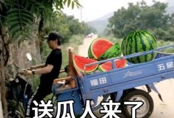 婚礼吃瓜视频文案,笑料百出，甜蜜瞬间尽收眼底