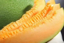 纹密瓜怎么吃,解锁夏日清新美味