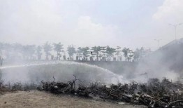 现场吃瓜群众莆田,吃瓜群众围观风云变幻