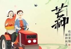 吃瓜记奇遇,穿越时空的甜蜜冒险