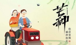 吃瓜记奇遇,穿越时空的甜蜜冒险