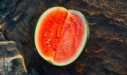 仙宝吃瓜,揭秘仙界八卦，笑谈神仙生活