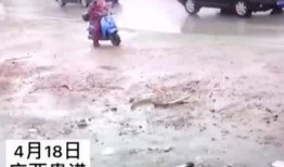 电动车吃瓜事件,揭秘背后真相与反思