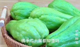 怎样做佛手瓜吃,多样烹饪方法大揭秘