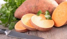 麻瓜地瓜能一起吃吗,能否共融一餐？