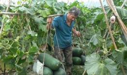 最新疫情吃瓜,追踪最新疫情热点，揭秘病毒传播之谜