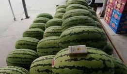 纳凉吃瓜,探寻消暑美食的乐趣