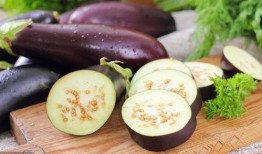 肾病能否吃茄瓜,茄瓜的适宜与禁忌