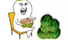 怪兽吃瓜不吃瓜下一句,揭秘吃瓜与不吃瓜之谜