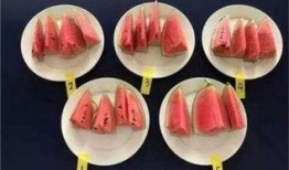 钱排吃瓜攻略,解锁夏日消暑新姿势