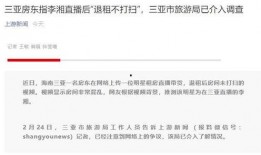 武汉吃瓜事件公众号,揭秘网络舆论的风云变幻