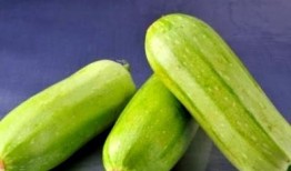 吃茭瓜便秘吗,茭瓜食用与便秘关系探究