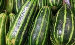 吃梢瓜好吗,吃梢瓜的好处与营养价值解析