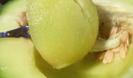 纹密瓜怎么吃,解锁夏日清新美味