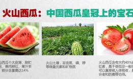 吃瓜大地,揭秘娱乐圈背后的秘密与真相