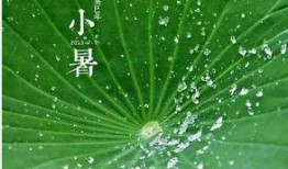 吃瓜的季节诗句,诗韵盎然——吃瓜季节的诗意时光