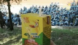 恶搞军训吃瓜,吃瓜群众围观“瓜田”奇观