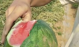 扒皮吃瓜,揭秘娱乐圈背后的真相与内幕