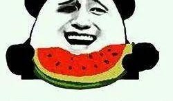 吃瓜的猪铃声,一场别开生面的听觉盛宴