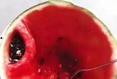 战斗民族怎样吃瓜,战斗民族独特吃瓜文化揭秘