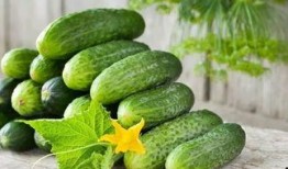 吃瓜涩涩,揭秘娱乐圈背后的酸甜苦辣