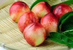 小桃子吃瓜事件,揭秘网络舆论的狂欢与反思