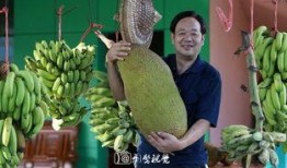 吃瓜原创缅北,吃瓜群众眼中的神秘地带