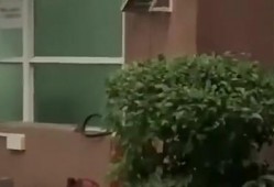 东明吃瓜新闻,揭秘当地热点事件背后的真相