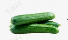 吃瓜直播间免费吃瓜怎么弄,轻松解锁免费吃瓜直播间的秘密技巧